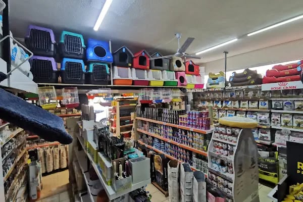 Köylü Akvaryum Petshop - Resim 20