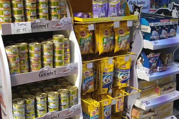 Köylü Akvaryum Petshop - Resim 7