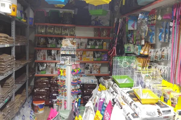 Köylü Akvaryum Petshop - Resim 12