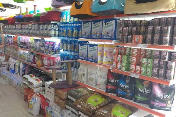 Köylü Akvaryum Petshop - Resim 2