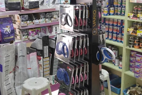Köylü Akvaryum Petshop - Resim 13