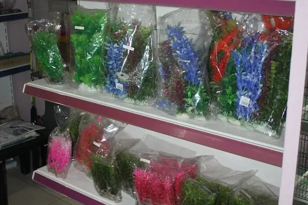 Köylü Akvaryum Petshop - Resim 6