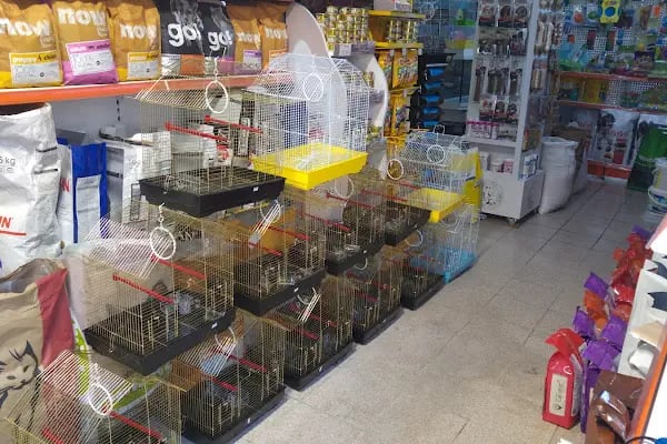Köylü Akvaryum Petshop - Resim 9