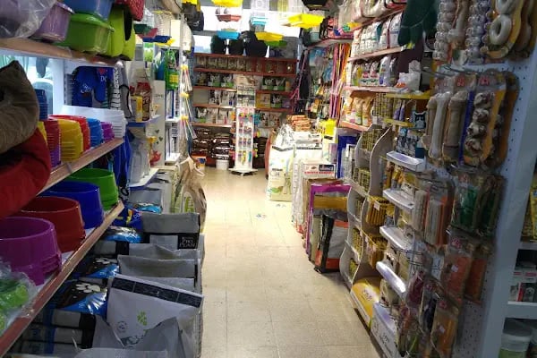 Köylü Akvaryum Petshop - Resim 5