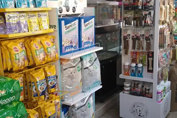 Köylü Akvaryum Petshop - Resim 14