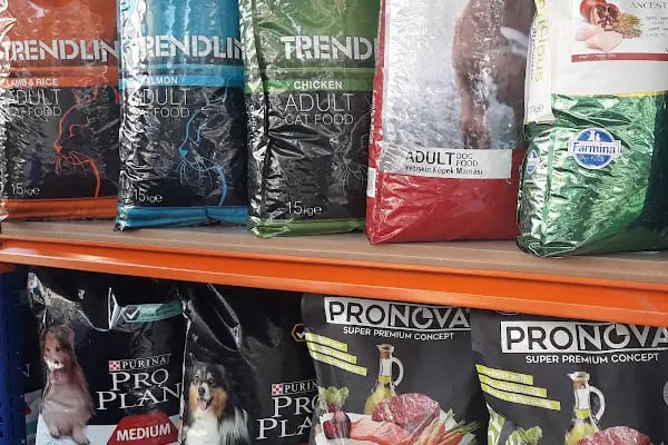 Köylü Akvaryum Petshop - Resim 10