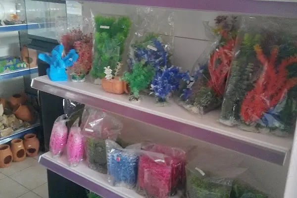 Köylü Akvaryum Petshop - Resim 18