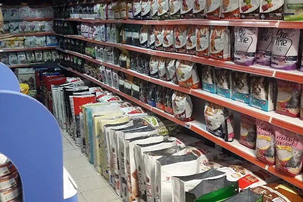 Köylü Akvaryum Petshop - Resim 17