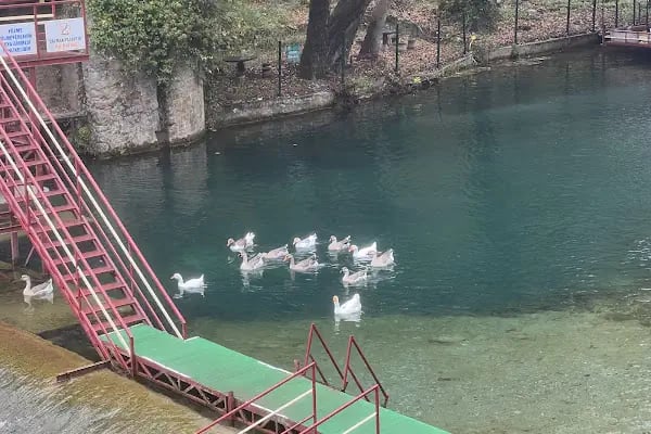 Alanya Toros Taksi - Resim 10