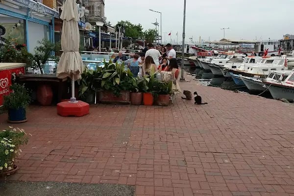 Mavi Marmara Burgazada İskelesi - Resim 7