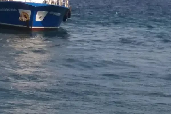 Mavi Marmara Burgazada İskelesi - Resim 19