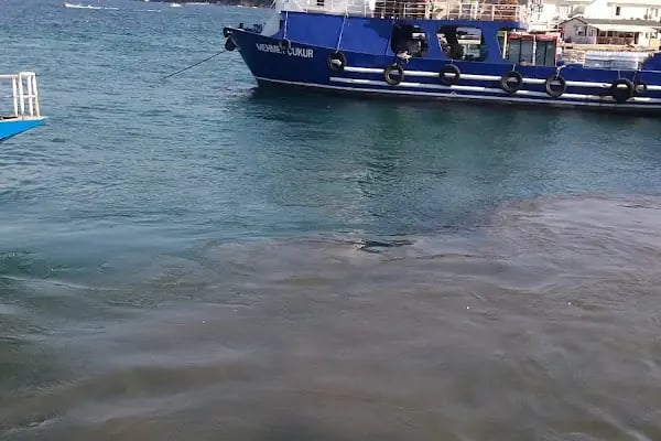 Mavi Marmara Burgazada İskelesi - Resim 6