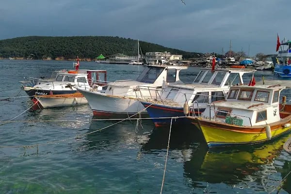 Mavi Marmara Burgazada İskelesi - Resim 10