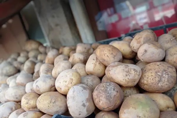 Erciyes Süpermarket - Resim 4