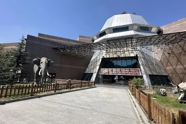 Şehit Cuma Dağ Tabiat Tarihi Müzesi - Resim 12