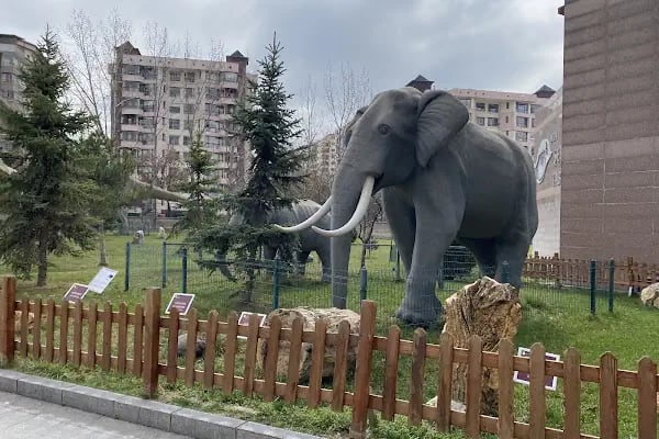 Şehit Cuma Dağ Tabiat Tarihi Müzesi - Resim 17