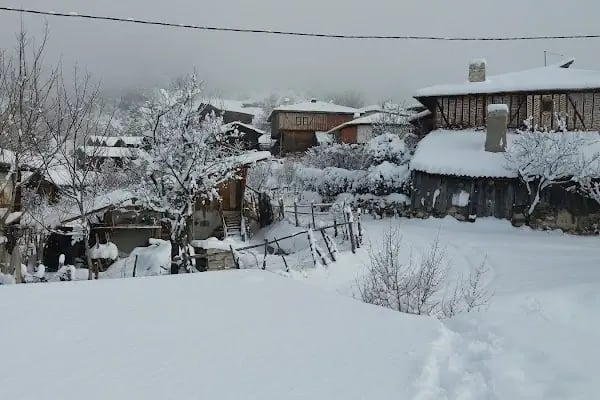Akseki Köyü Muhtarlığı - Resim 4