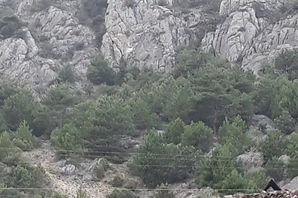 Akseki Köyü Muhtarlığı - Resim 18