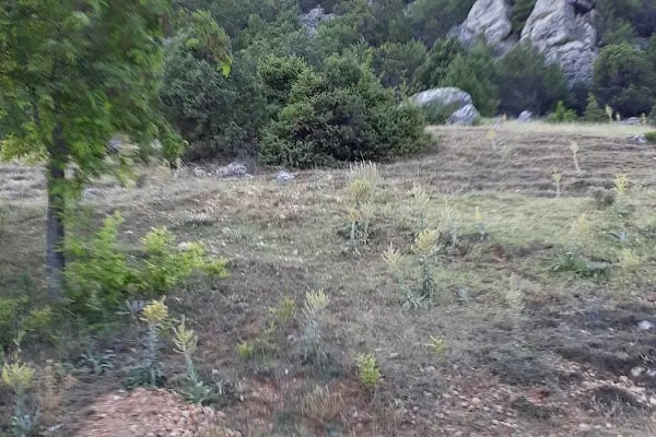 Akseki Köyü Muhtarlığı - Resim 14