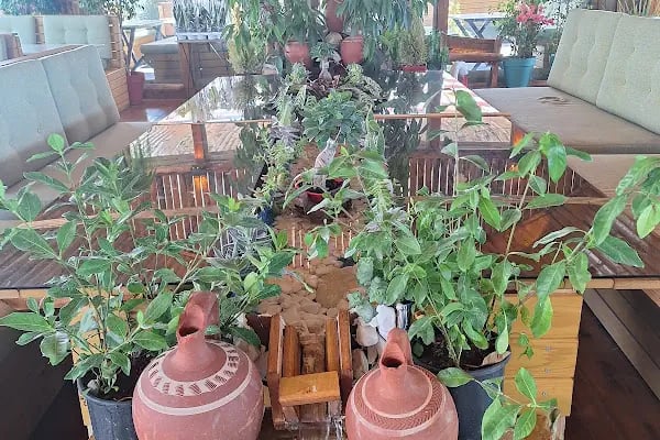 BotanikCafeRestaurant - Resim 10