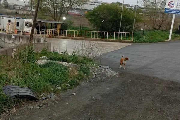 Emn Global Lojistik Limited Şirketi - Resim 8