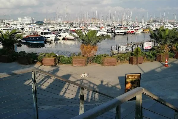 Marinturk - Resim 17