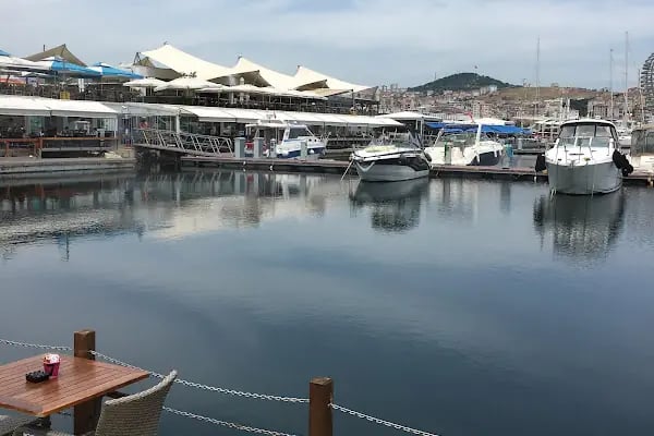 Marinturk - Resim 4