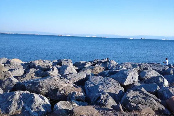 Marinturk - Resim 16