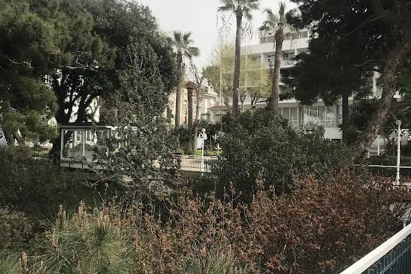 Anadolu Kulübü - Resim 14