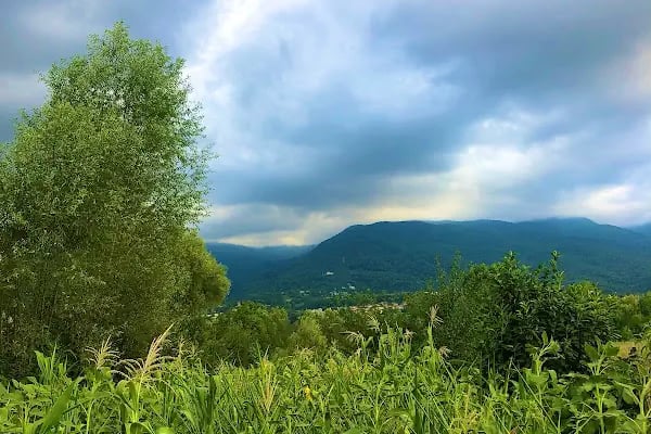Kartepe At Çiftliği - Resim 20