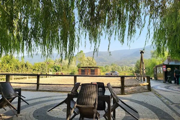 Kartepe At Çiftliği - Resim 17