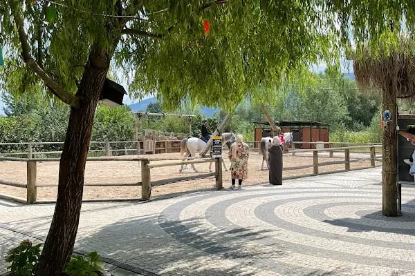 Kartepe At Çiftliği - Resim 16