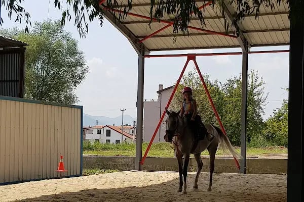 Kartepe At Çiftliği - Resim 3