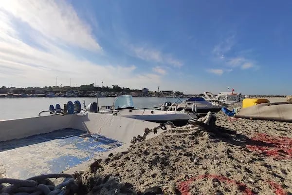 ENEZ BALIKÇILIK AYCAN'IN YERİ - Resim 20
