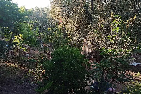 Kurşunlu Sahil - Resim 14