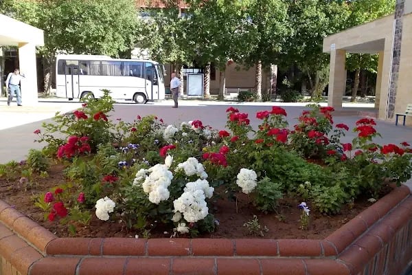 Harran Üniversitesi Eyyübiye Kampüsü - Resim 14