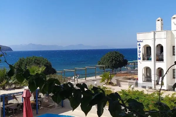 One More Day Hotel - Resim 17