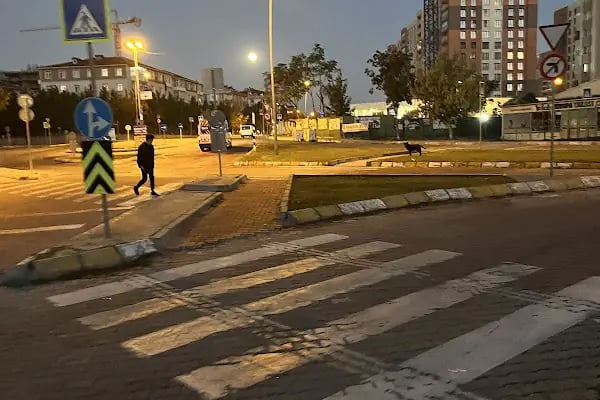 AVRUPA YAKASI TENİS KULÜBÜ - Tenis -Okçuluk Fitness - Resim 5