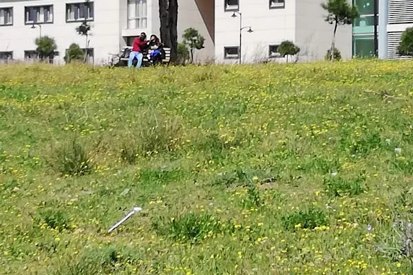 Çukurova Üniversitesi İletişim Fakültesi - Resim 14