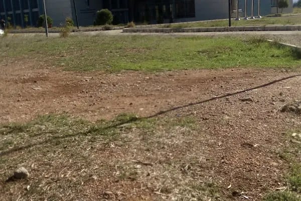 Çukurova Üniversitesi İletişim Fakültesi - Resim 7