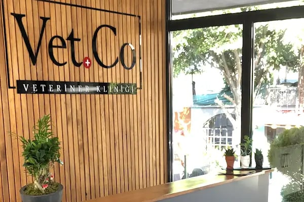 VetCo Veteriner Polikliniği - Resim 2