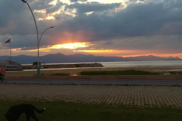 Vuslat Parkı - Resim 12