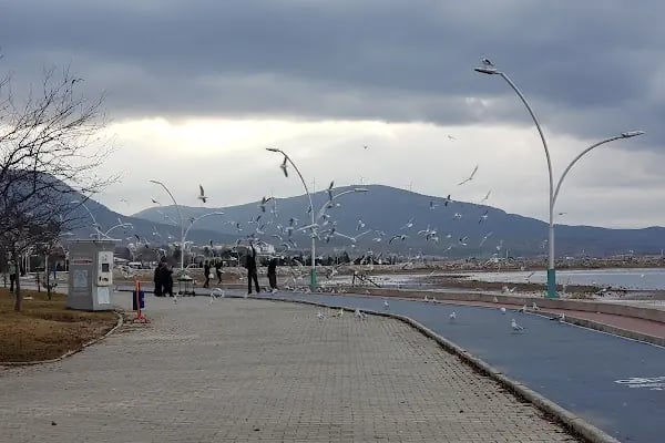 Vuslat Parkı - Resim 10