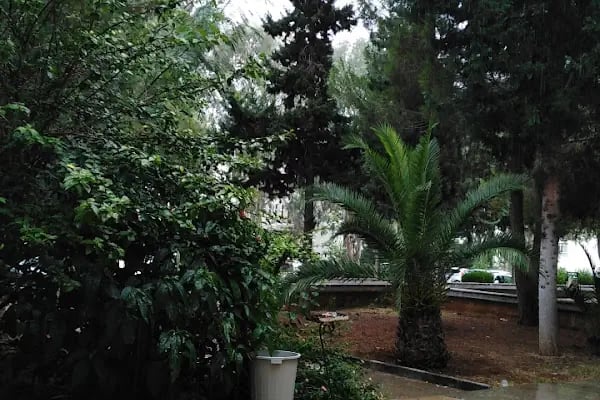 Çukurova Üniversitesi Eğitim Fakültesi - Resim 3