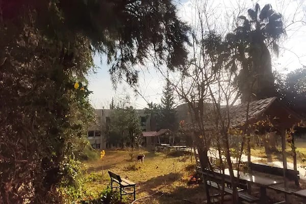 Çukurova Üniversitesi Eğitim Fakültesi - Resim 9