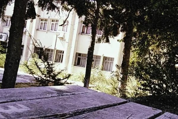Çukurova Üniversitesi Eğitim Fakültesi - Resim 6
