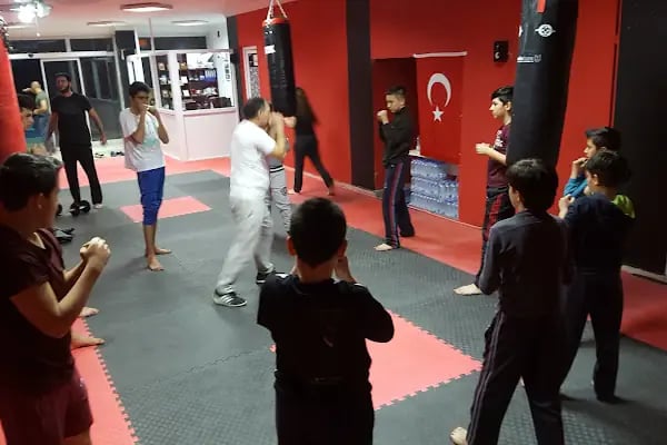 Ottoman Gençlik ve Spor Kulubu - Resim 3