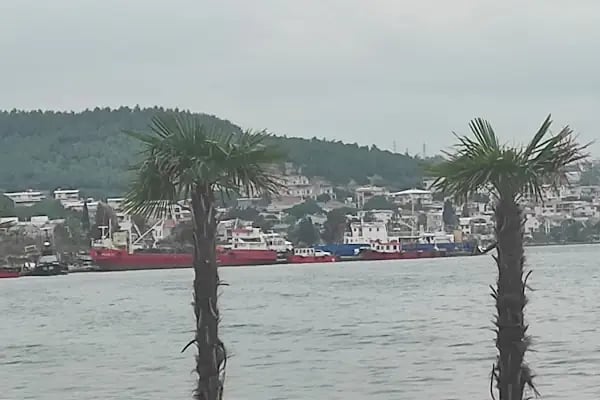 Chef Âlâ Ocakbaşı Restaurant - Resim 12