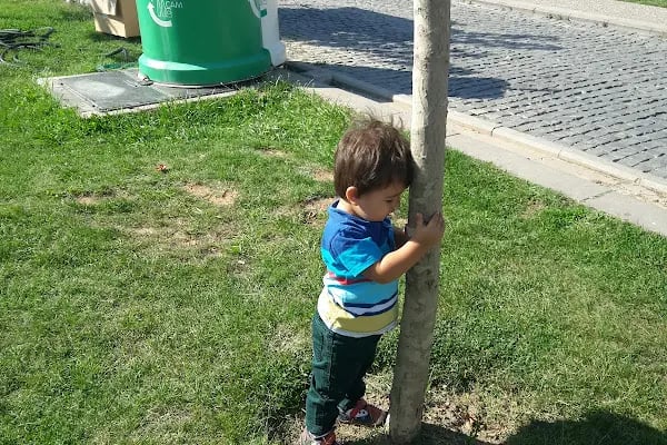 Hayme Ana Parkı - Resim 2