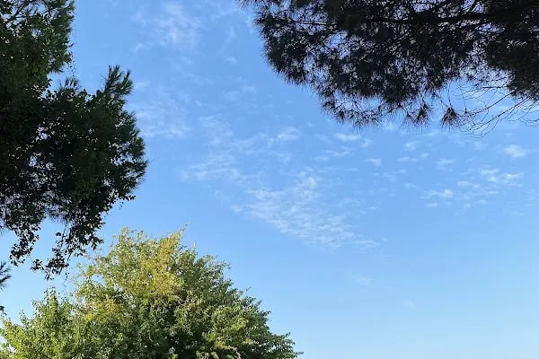 Cumhuriyet Camping - Resim 17
